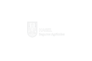 2 hagel-seguros-agriculas-hugo-rego-seguros